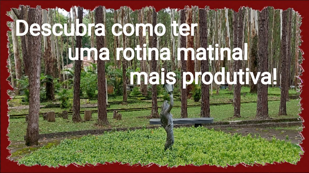 Torne sua manhã mais produtiva: Rotina matinal para começar o dia com energia!