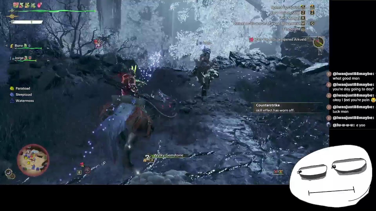 Monster Hunter Wilds | run