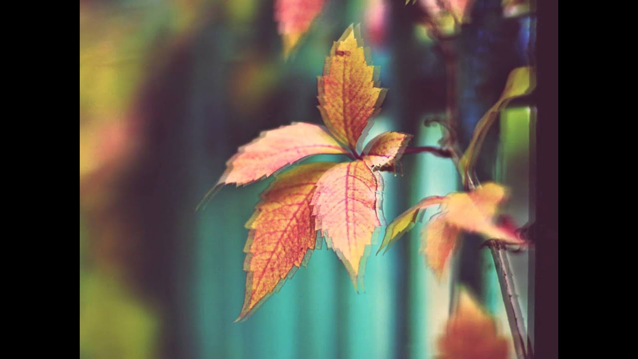 (SUB ESP...) 이현 (8eight)-My hearthache OST A Gentleman's Dignity