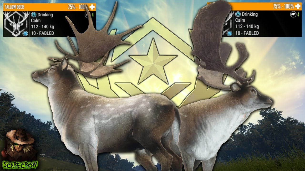 We Got 2 Great One Fallow Deer In Under 800 Kills! Plus A Great One Fallow Guide! Call of the wild