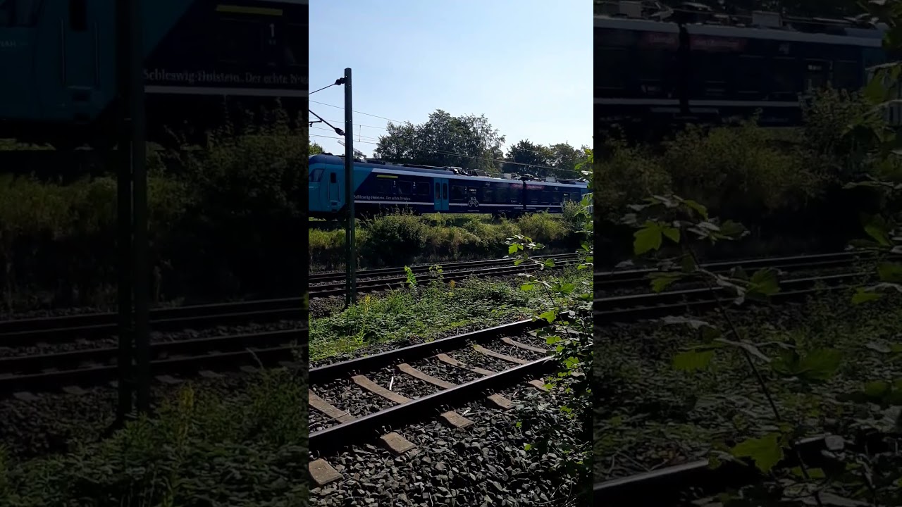 🚆 Triebzug Stadler Flirt Akku 526... als erx RE 83 f&auml;hrt im Doppel unter Friesenbr&uuml;cke Ri L&uuml;neburg