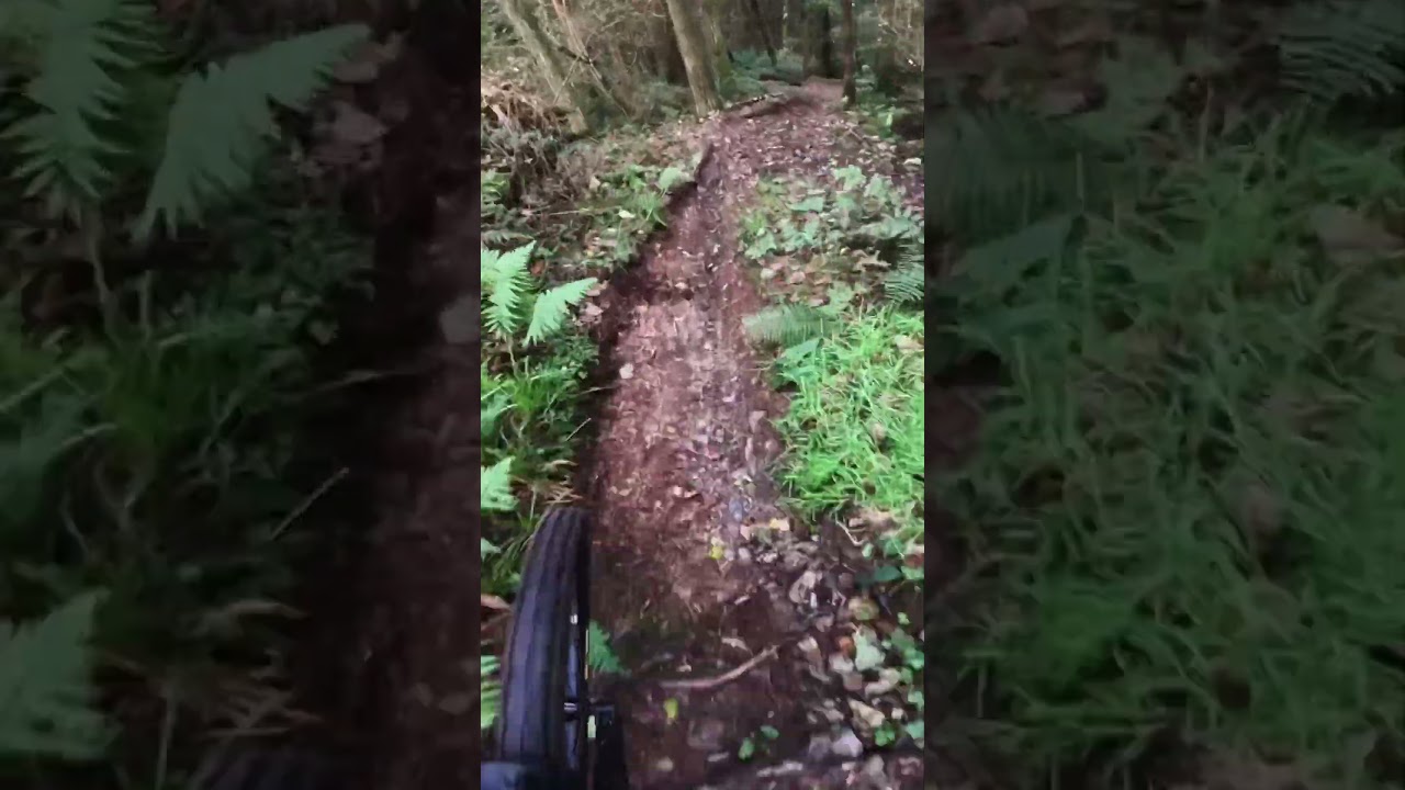 New vlog live now! #mtb #mtbcoaching #bikepark #bike #downhillmtb #downhill #downhillmtb #mtb