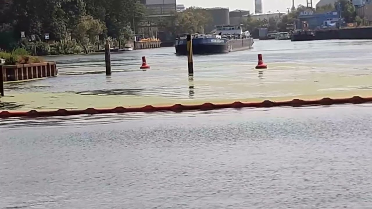 Ruhrlebener Altarm, 14 08 25 #schiffe #berlin #spandau #havel #spree #fluss #schifffahrt