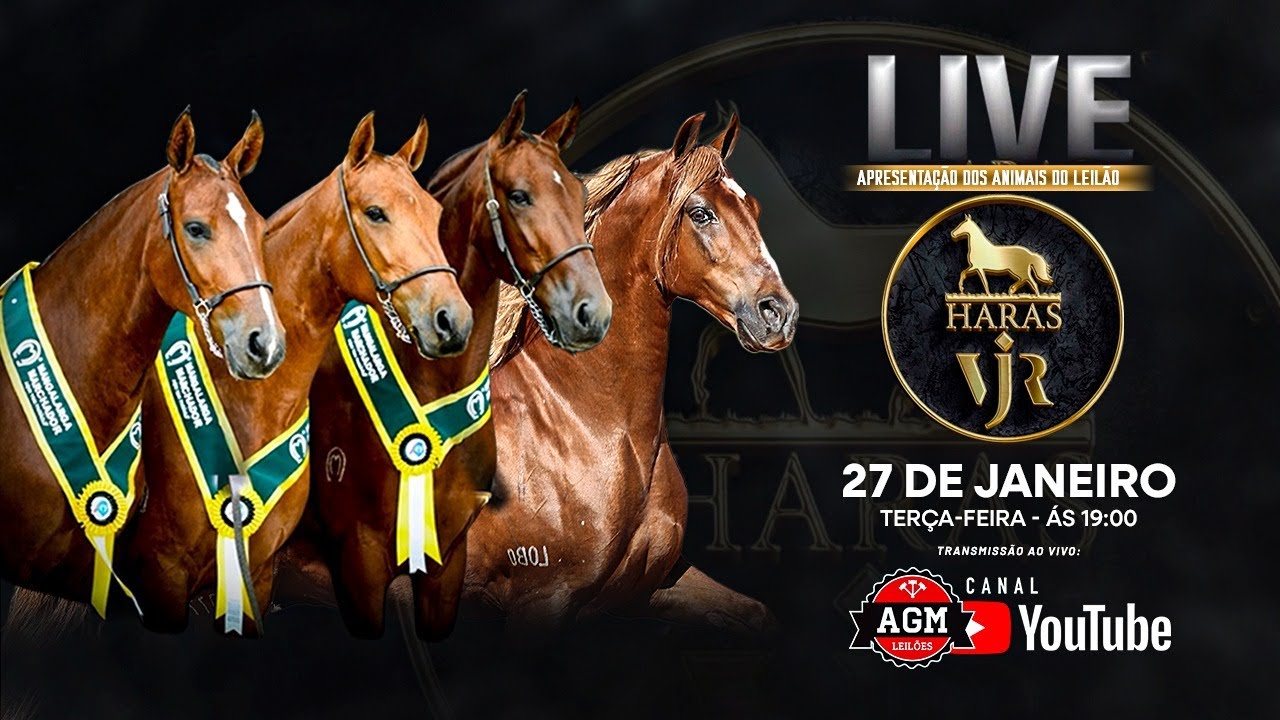 LIVE - APRESENTAÇÃO DOS ANIMAIS DO LEILÃO - HARAS VJR