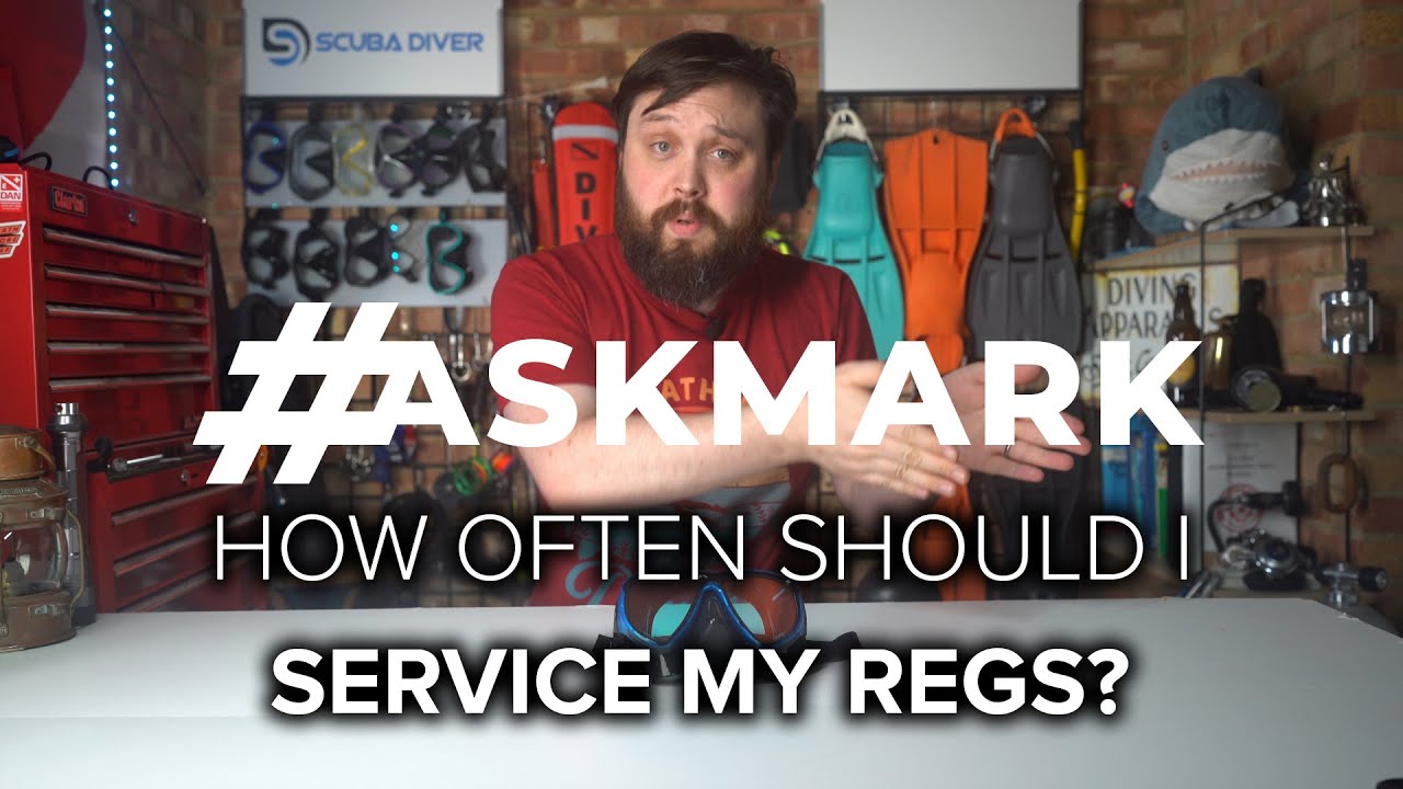 How Often do I Need to Service My Regulators? #askmark #scuba @geemac44