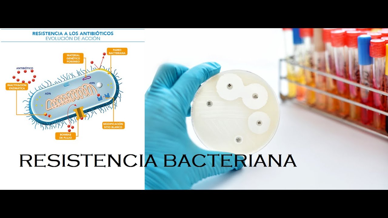 Resistencia Bacteriana