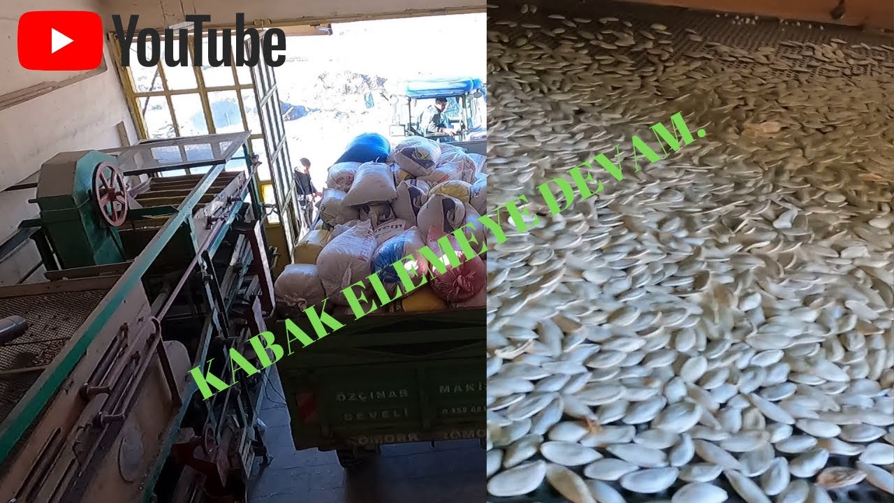 KURUTMA  VE KABAK ELEME..