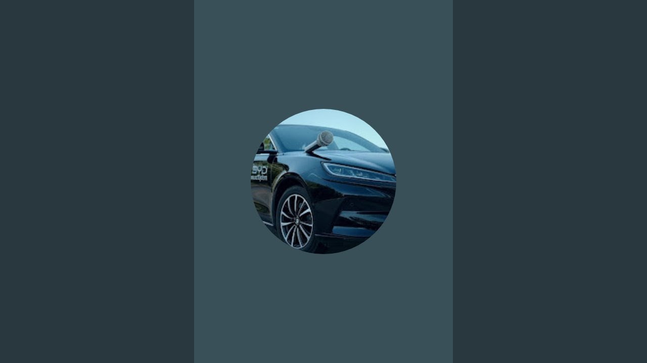 BYD Voice Commands is live