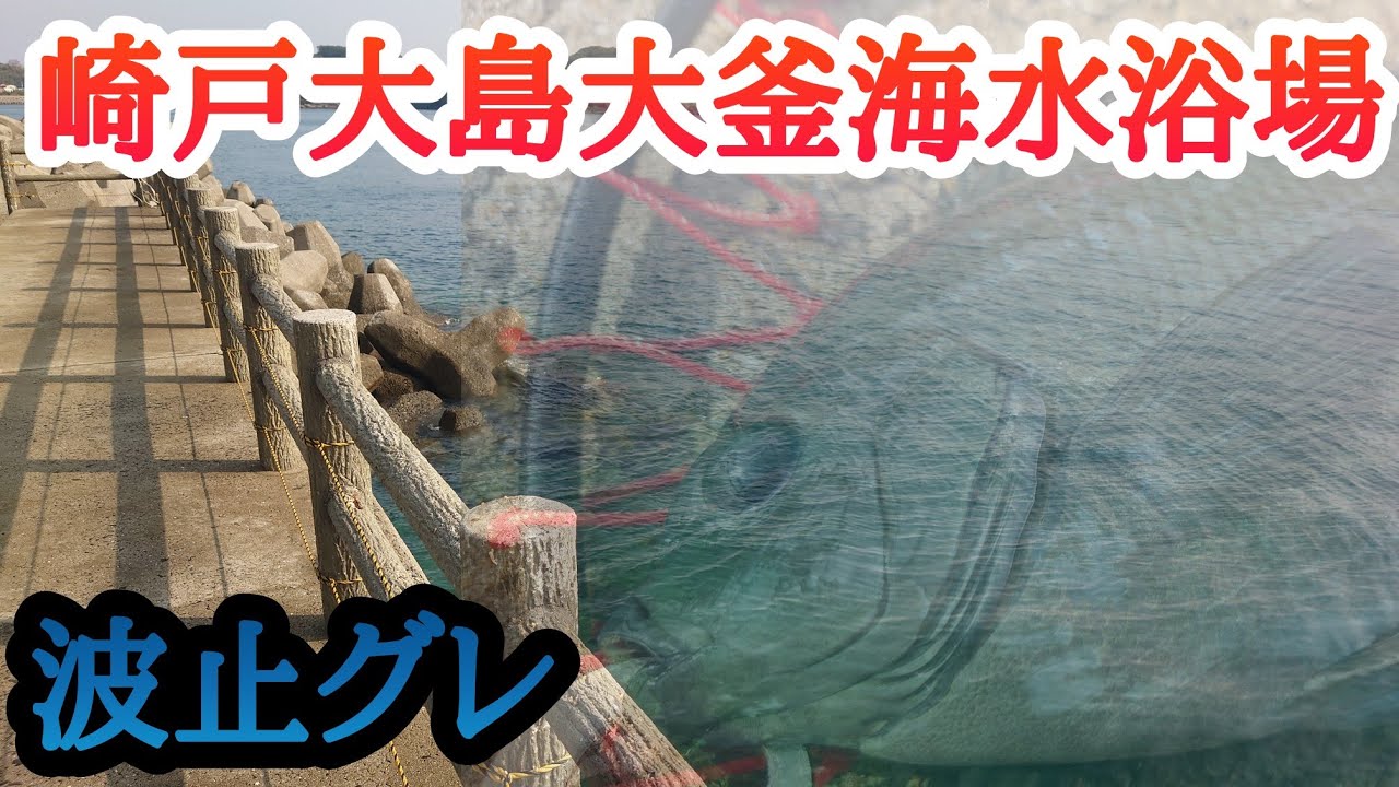崎戸大島大釜海水浴場で波止グレ❗マジカグレ❗