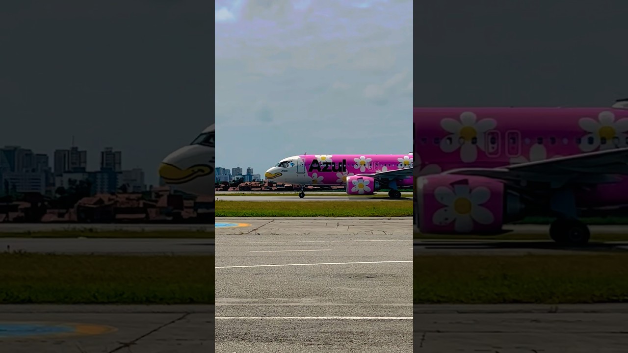 &ldquo;Margarida nas nuvens&rdquo; da Azul #avia&ccedil;&atilde;o #voeazul #disney #viagem #fly #fortaleza