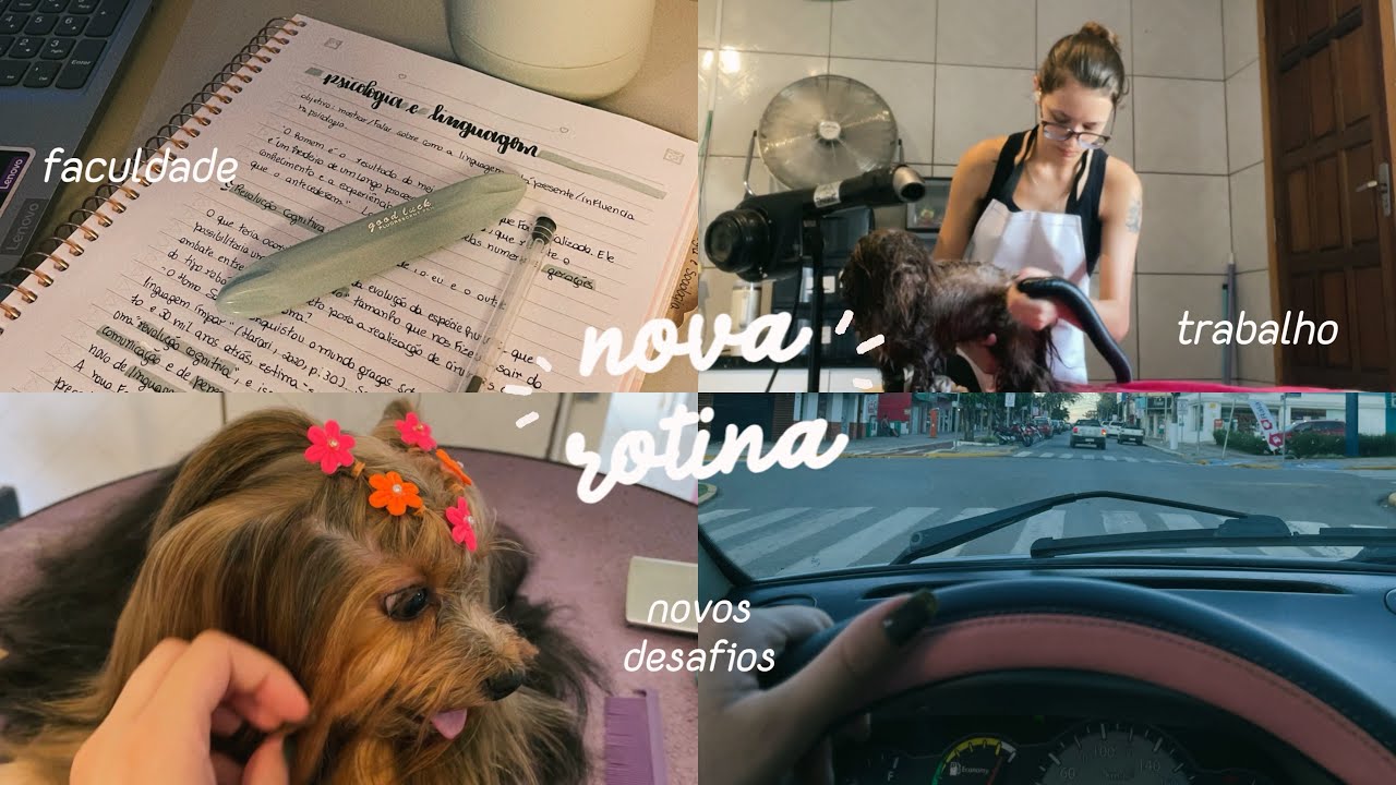MINHA ROTINA 100% REAL (trabalho & faculdade)