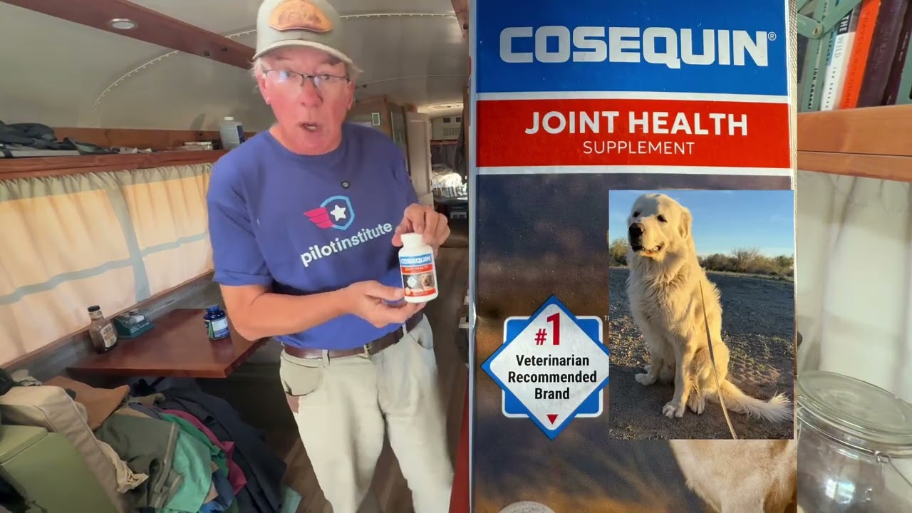 День в пустыне Кварцсайт и приготовление рыбных тако.