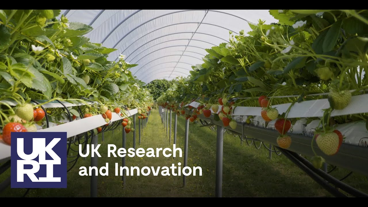 Growing the sustainable produce farming sector in Kent