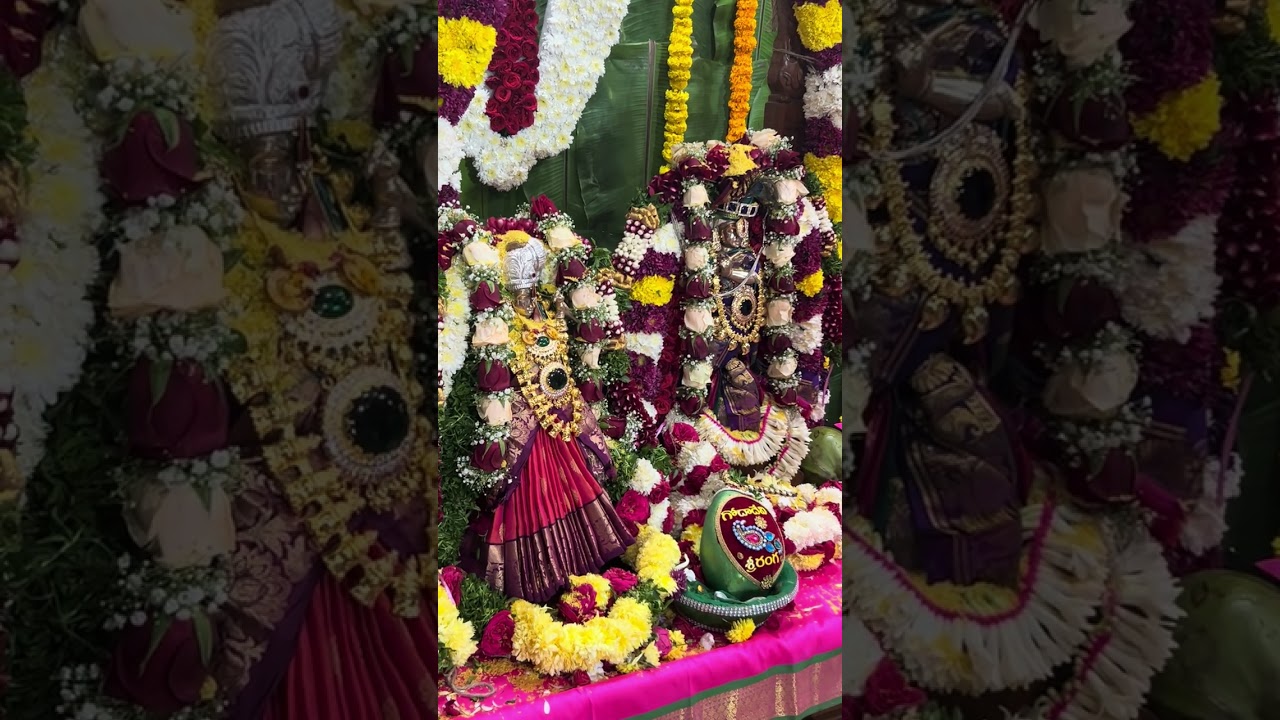 |#sssvd |#dhanurmasam |#bhajan |#bhakti |