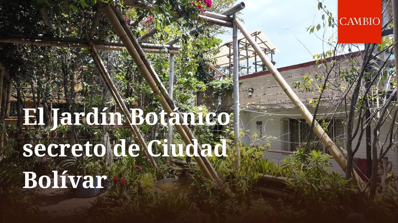 El Jardín Botánico secreto de Ciudad Bolívar | CAMBIO