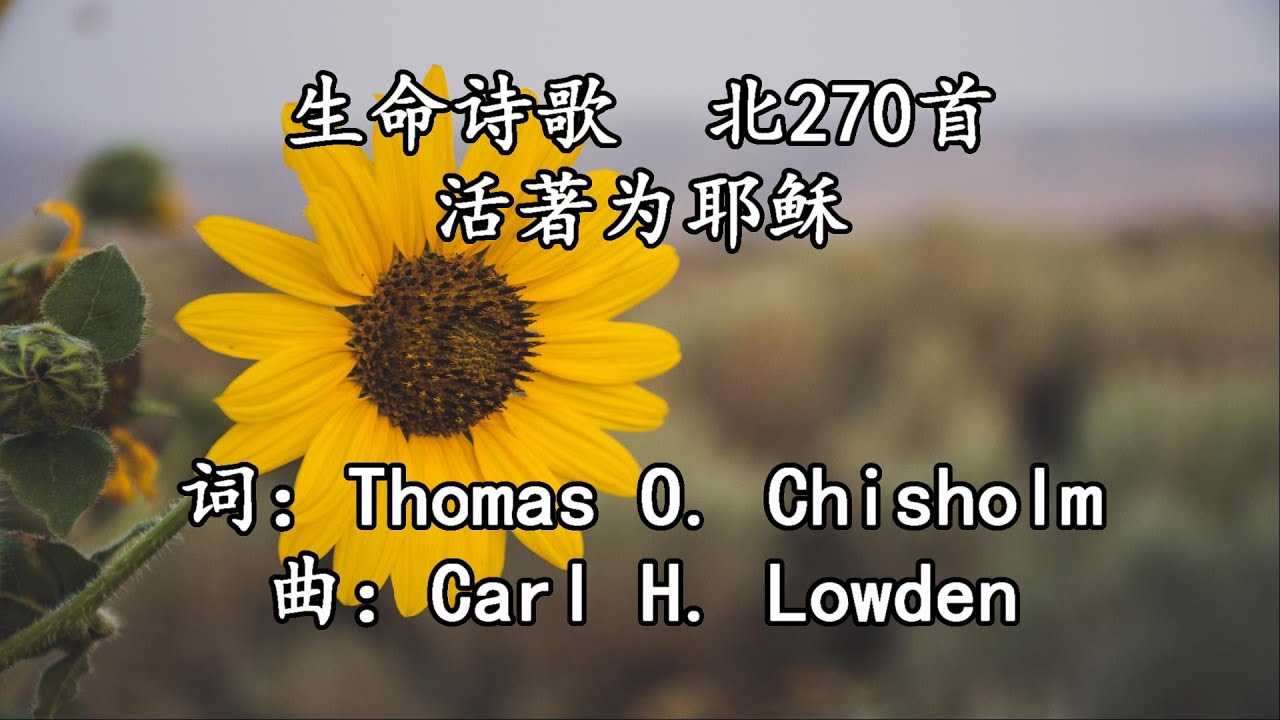 北270 大336 活著为耶稣 2