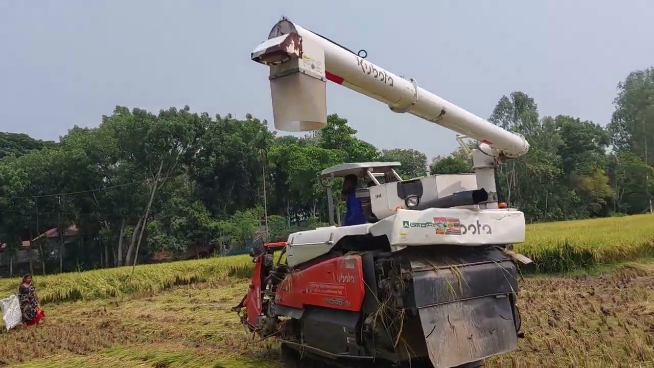 মেশিনের সাহায্যে ধান কাটা ও মাড়াই করা__Paddy Harvesting through harvesting machine