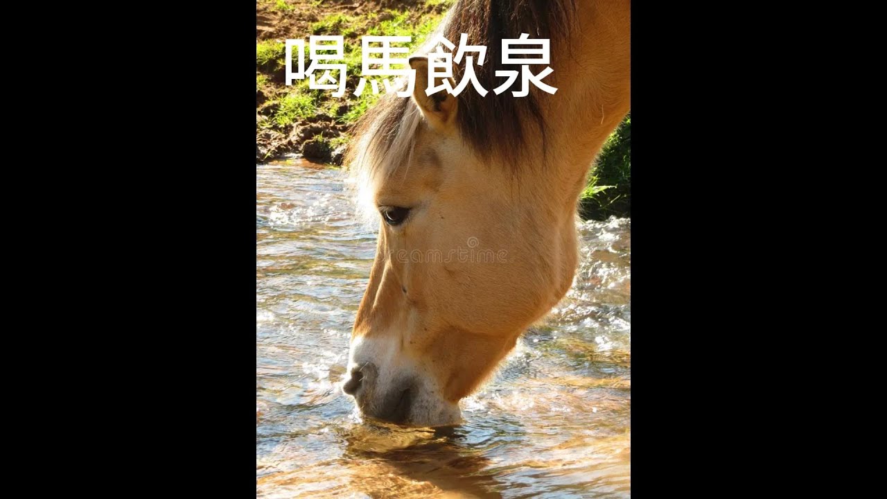 喝馬飲泉