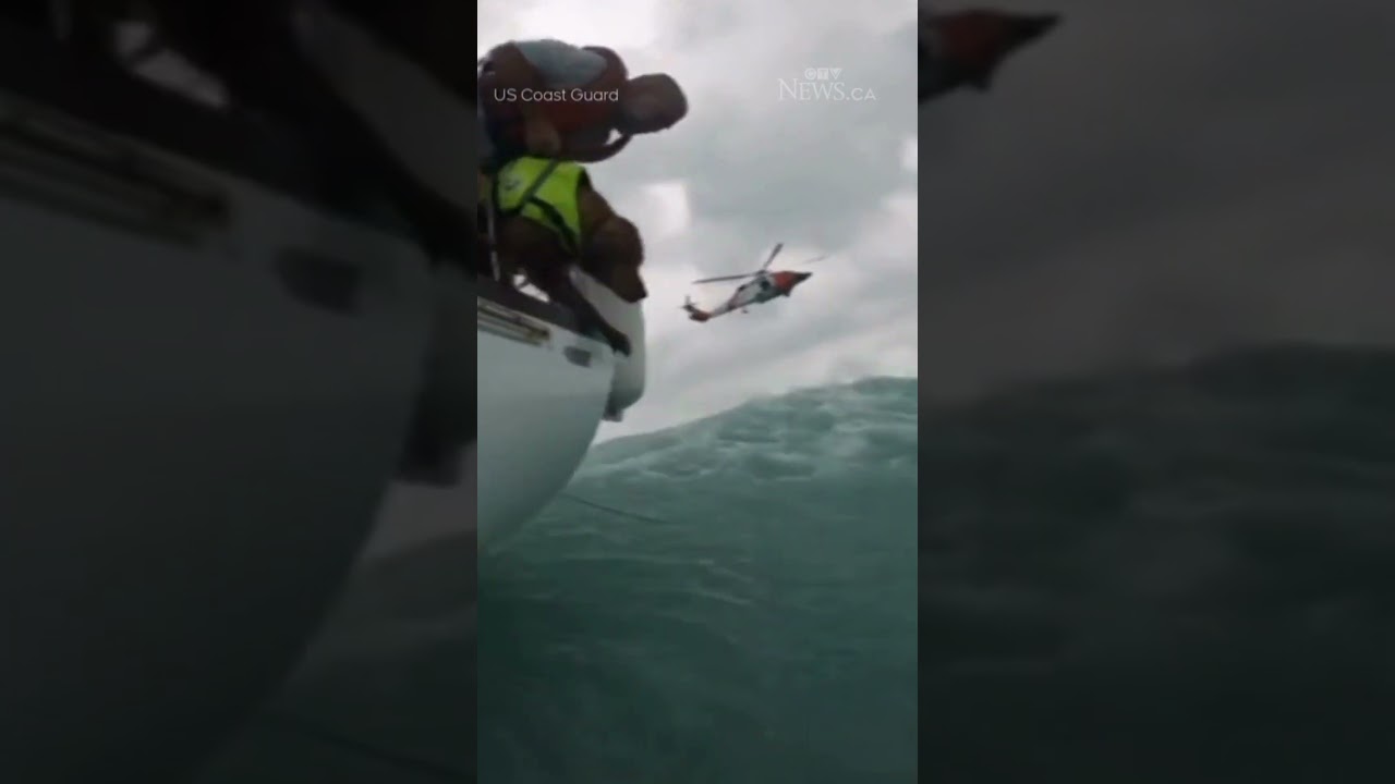 Video shows Florida man and his dog pulled from stormy sea amid Hurricane Helene