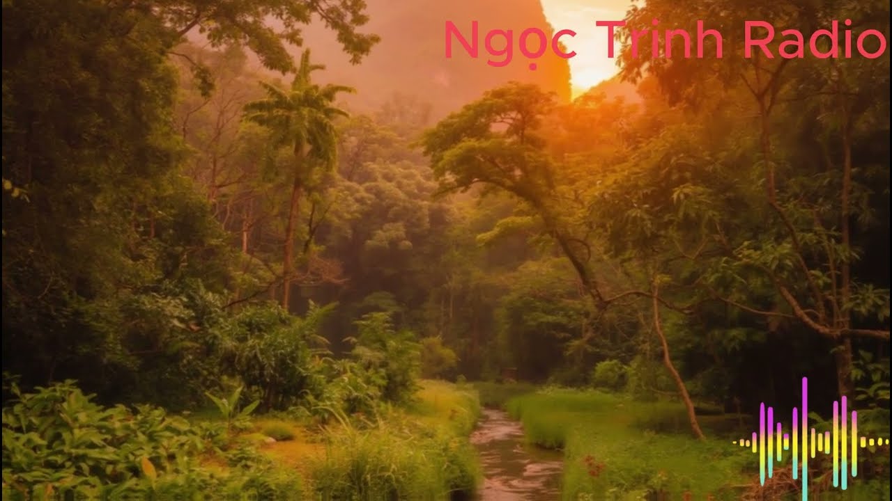Truyện Ngôn Tình 2026 | GÁI BẮC NINH