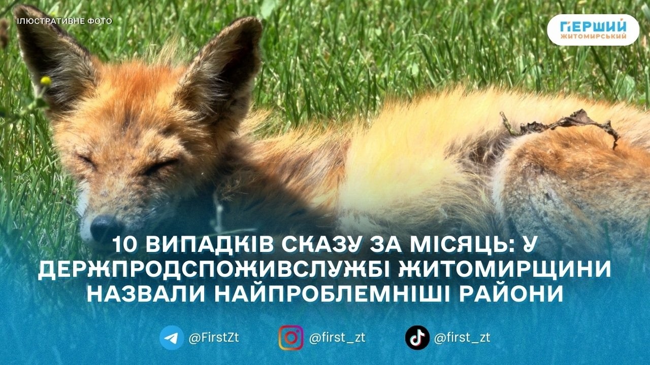 Сказ на Житомирщині: у 2026 році вже зафіксували 10 випадків серед тварин