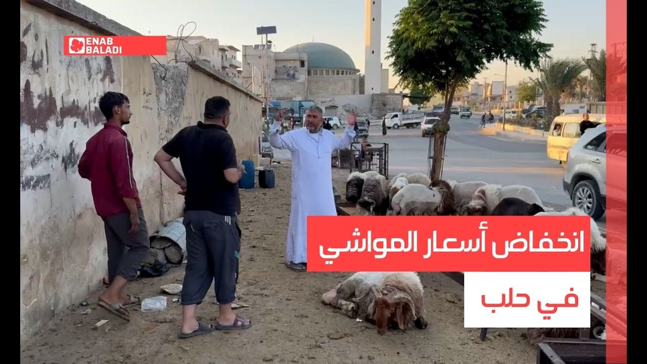 انخفاض أسعار المواشي في حلب