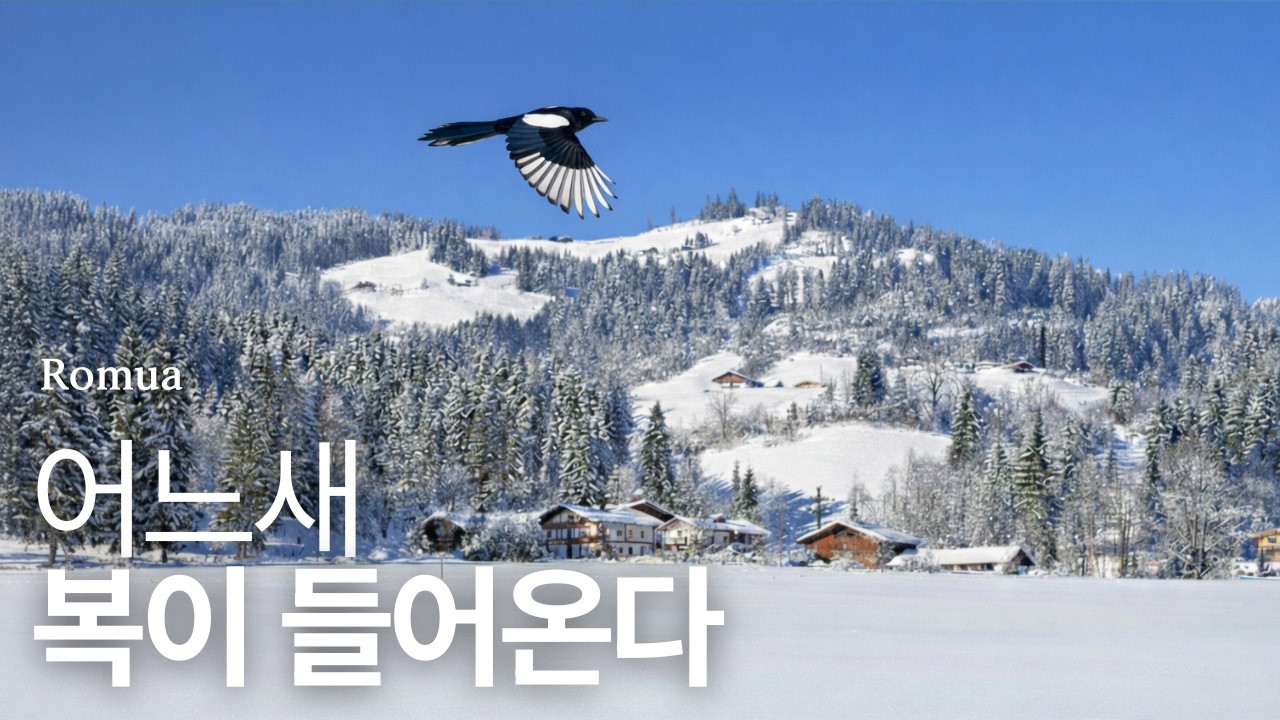 𝙿𝚕𝚊𝚢𝚕𝚒𝚜𝚝 : 이상하게 좋은 일이 생기는 날 🎵행운을 부르는 힐링 피아노(스트레스 해소 · 편안한 휴식 · 잔잔한 카페음악 · Winter Calm)