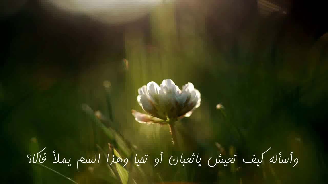 لله في الآفاق آيات  كاملة    للشيخ عبد الواحد المغربي
