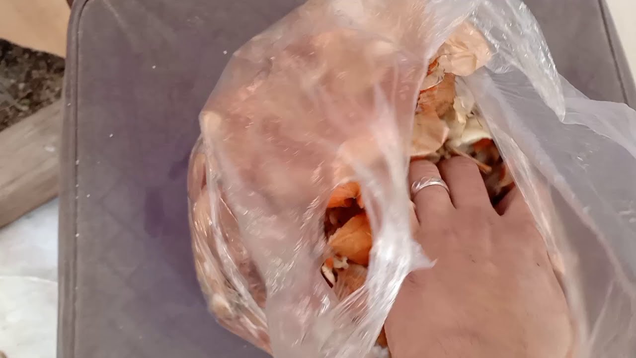 فوائد الثوم والبصل للأغنام