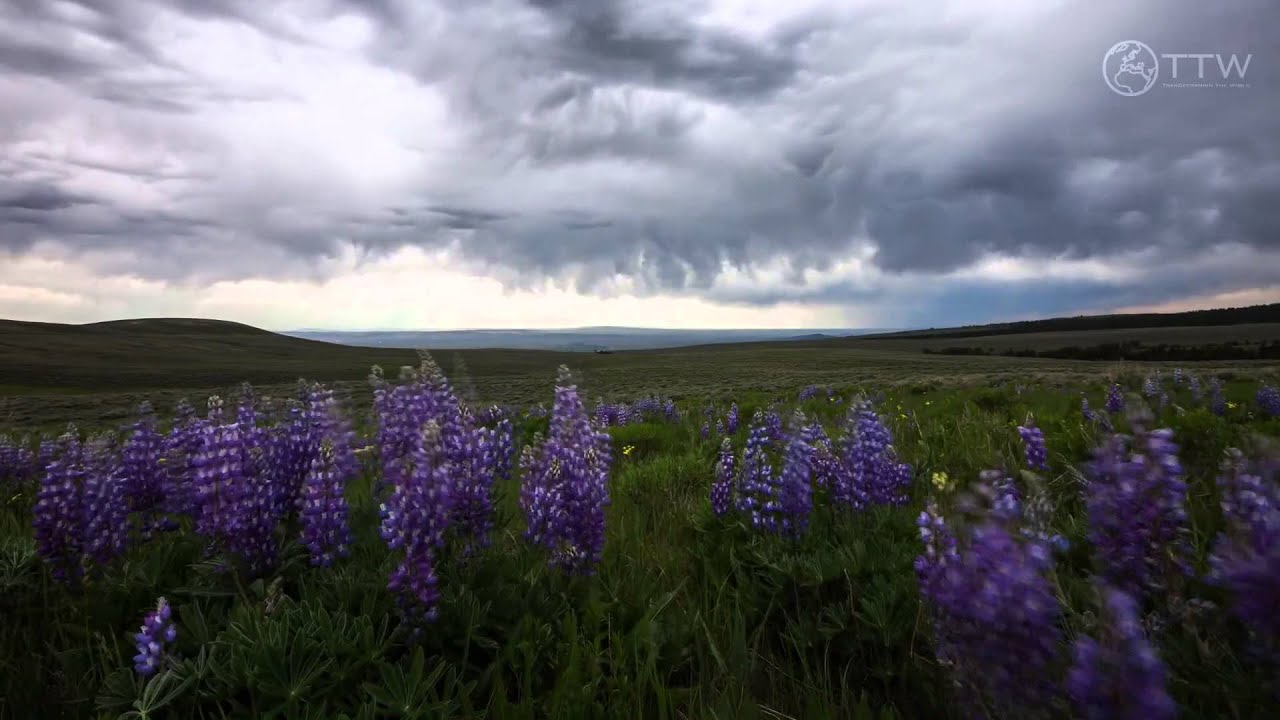 The Cloudy Day - Over Emotion (Original Mix) [Music Video] [Diverted Music]