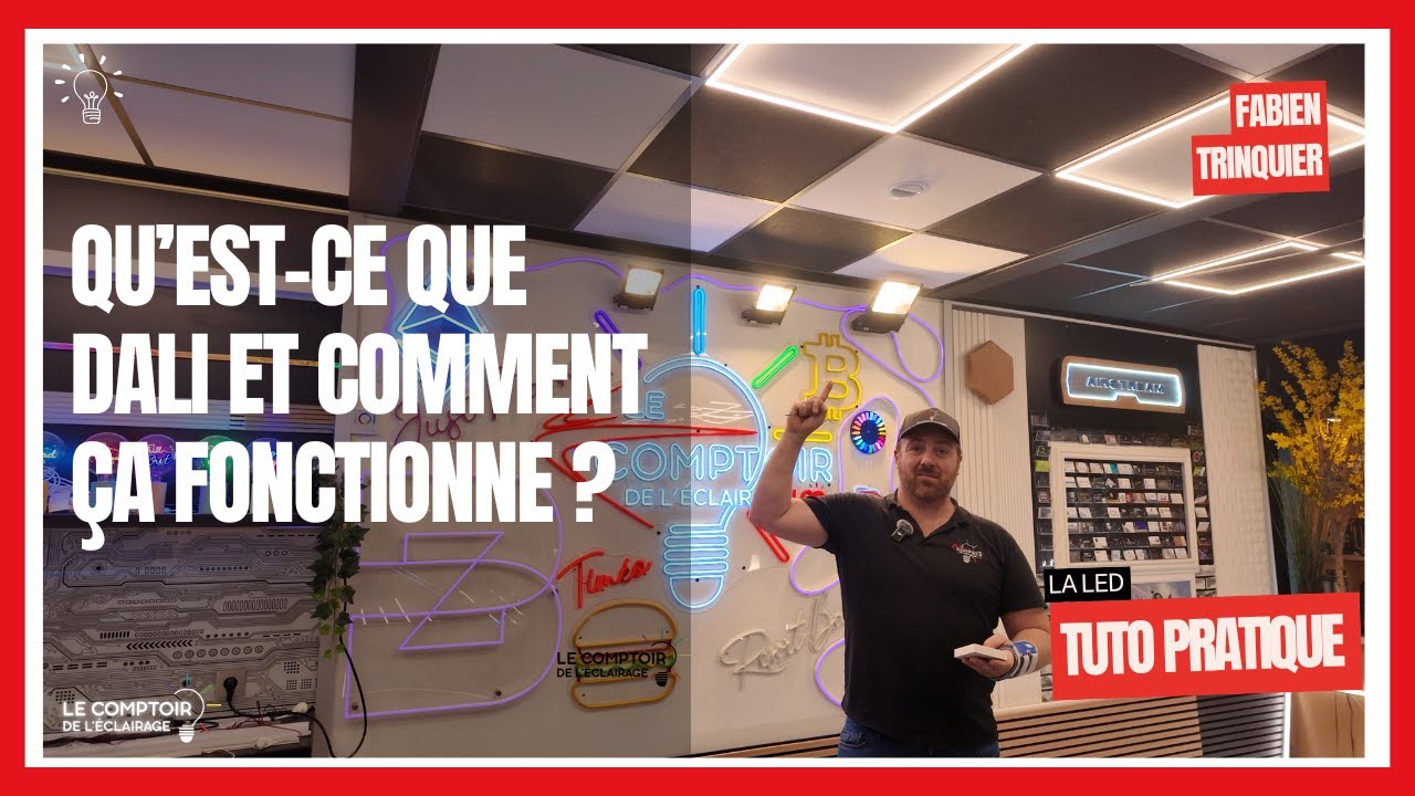 Qu’est-ce que DALI et comment ça fonctionne ?