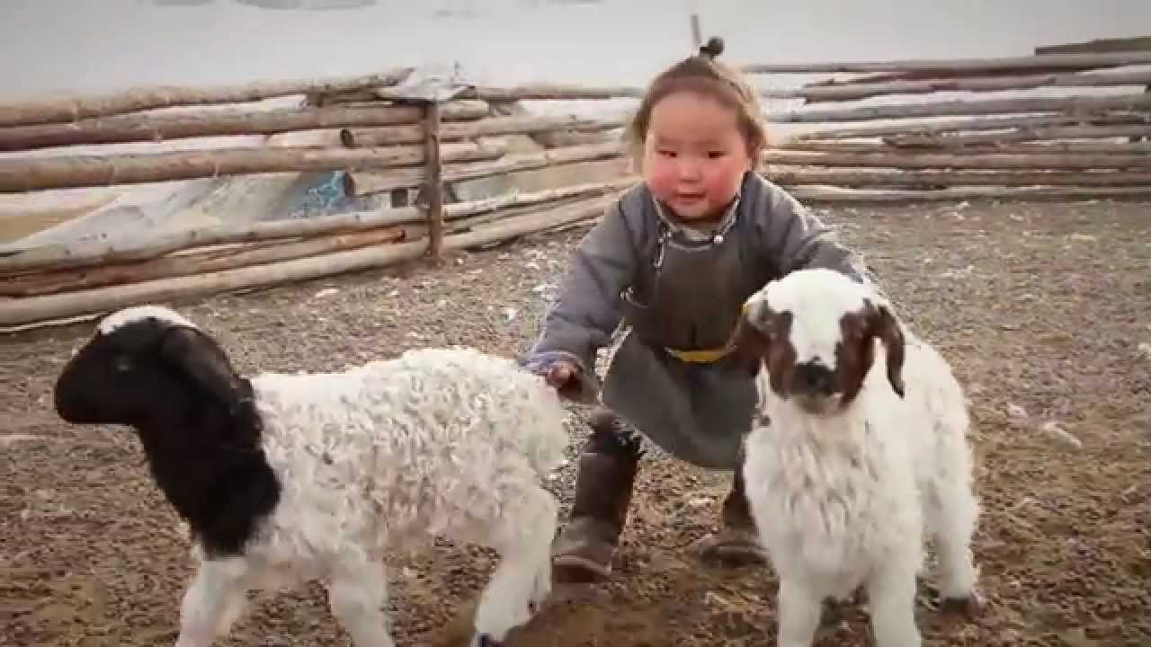 Traditional Tents Serve as Schools in Mongolia