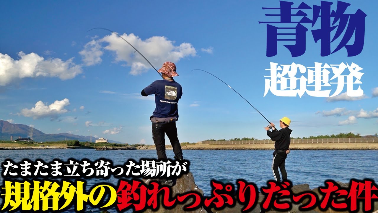 【大フィーバー】青物の超大群が押し寄せ、無数のヒラメが乱舞する。24年新発売のリールを試しに遠征に行ったら…過去イチの結果に撮影陣も大満足だった件。【24セルテートでBINGO企画】
