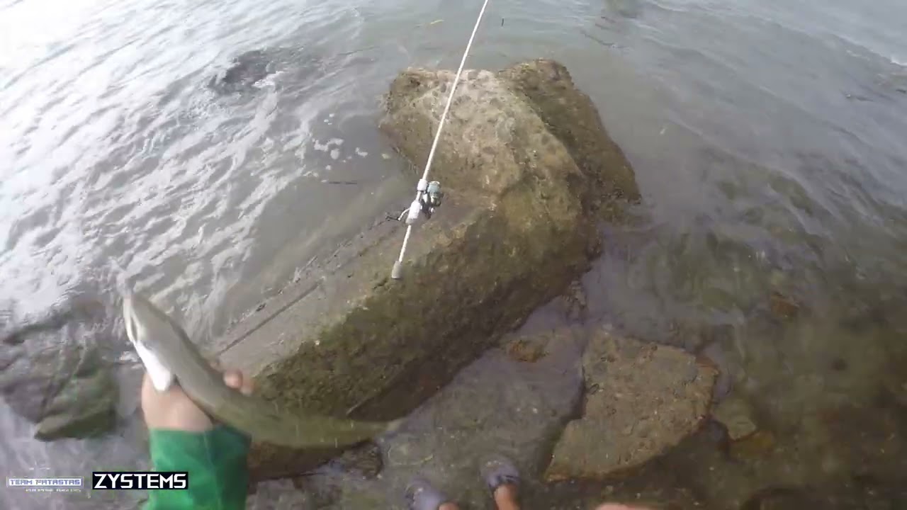 FISHING is Fun PHILIPPINES / TACLOBAN CITY LEYTE  1 of the best fishing spot in PROVINCE OF LEYTE 🎣