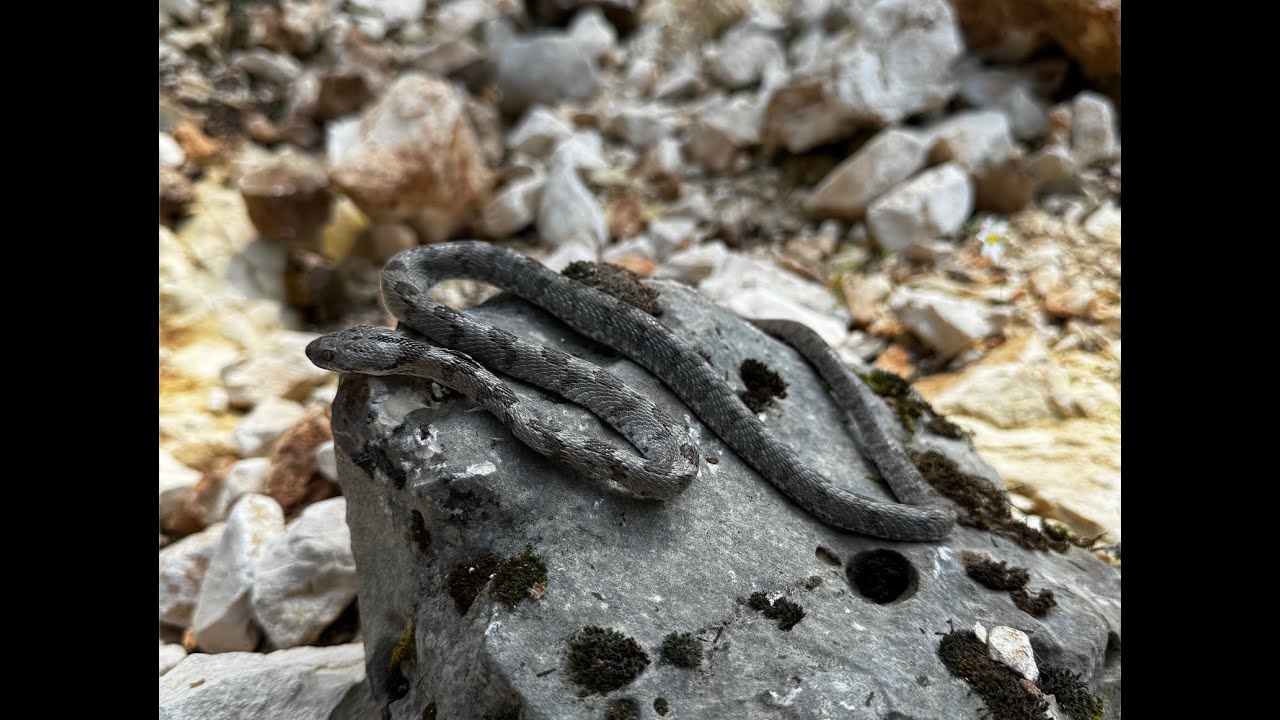 LİKYA YOLU 11.GÜN / KARAKOLDA BİTEN BİR GÜN !