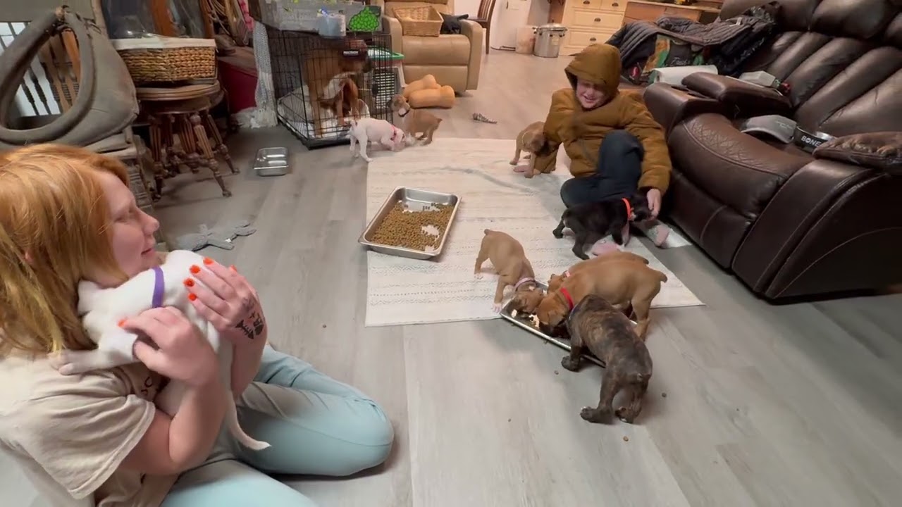 Our last night w/ Lovey & Sadie… ❤️😢