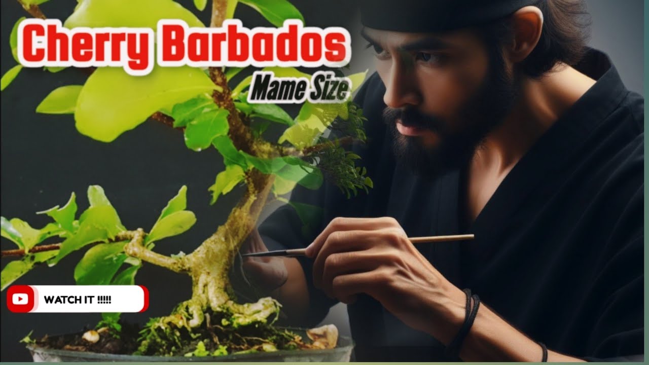 How To Make Bonsai Tree @therisingofroninbonsai  #bonsai