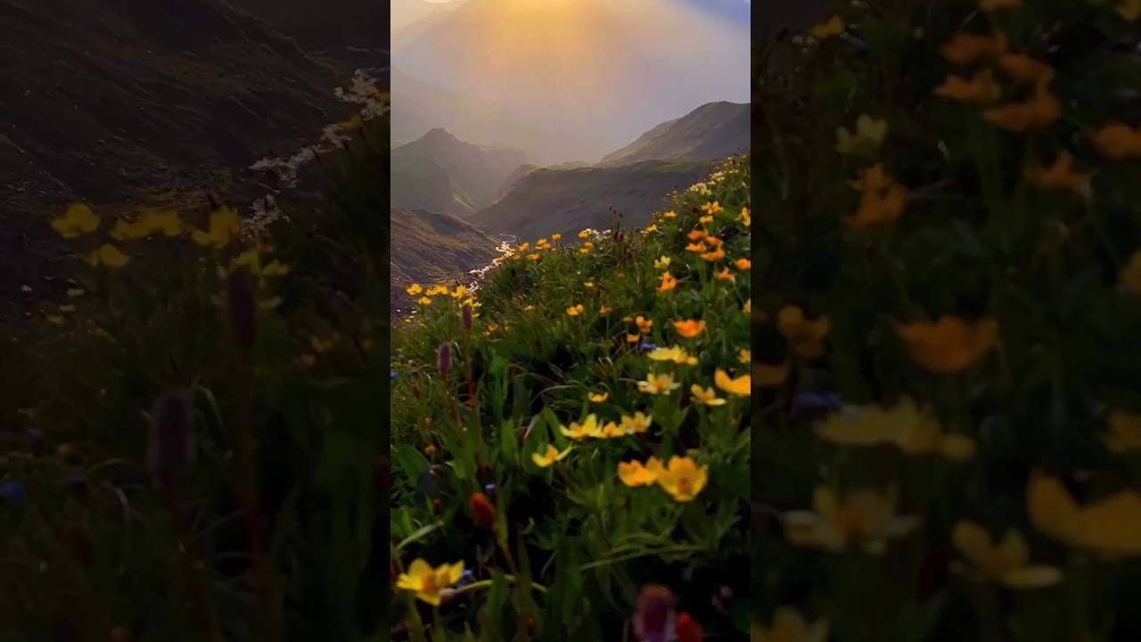 4K Free Stock Footages | #freevideosforyoutube  | video library |#freevideo#freevideosforyoutube