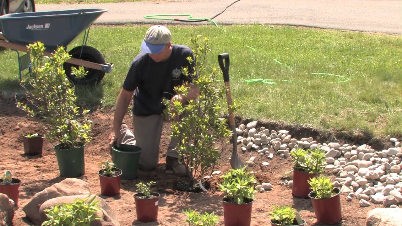 Rain Garden Plant Selection & Layout