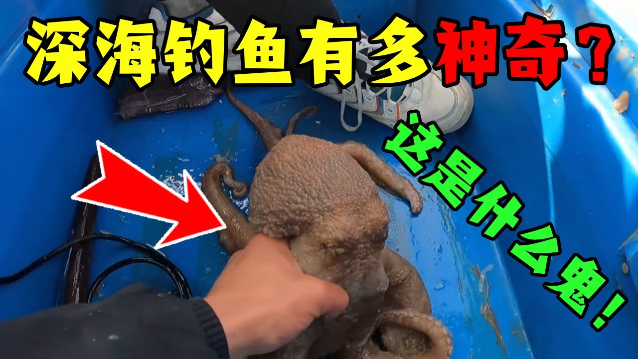 深海钓鱼有多神奇？阿锋说这个&ldquo;鬼东西&rdquo;居然也能钓上来