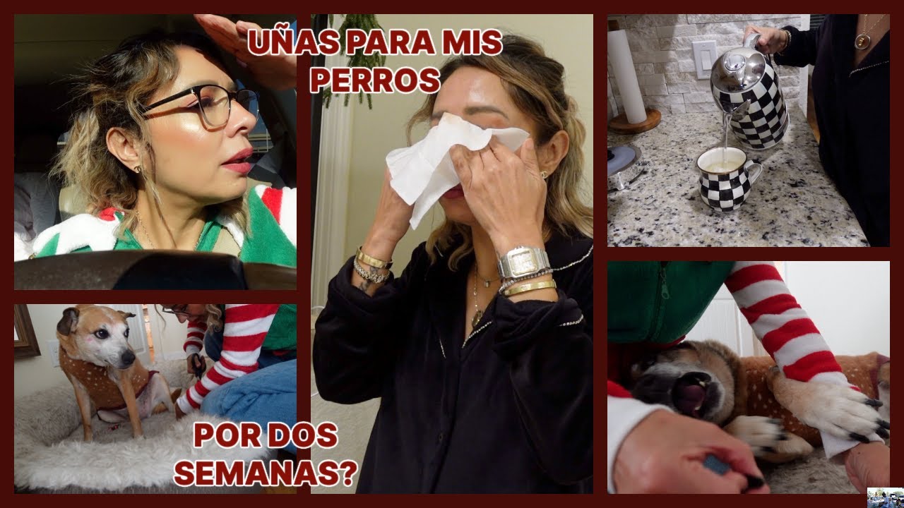 MI VIDA SIN EL.. LO VOY A DEMANDAR... U&Ntilde;AS PARA MIS ANIMALITOS... NO PODRE BA&Ntilde;ARME POR DOS SEMANAS..