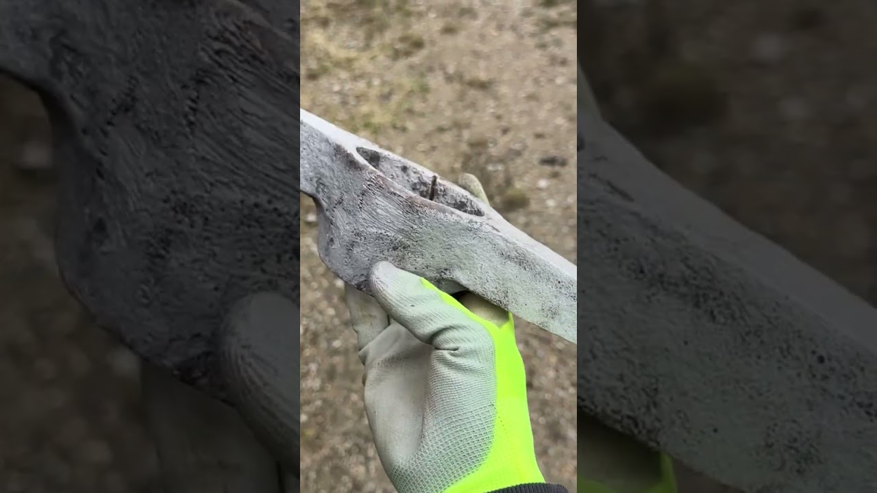 Pickaxe Discovery: Unearthing Hidden Treasures Restoration #shorts