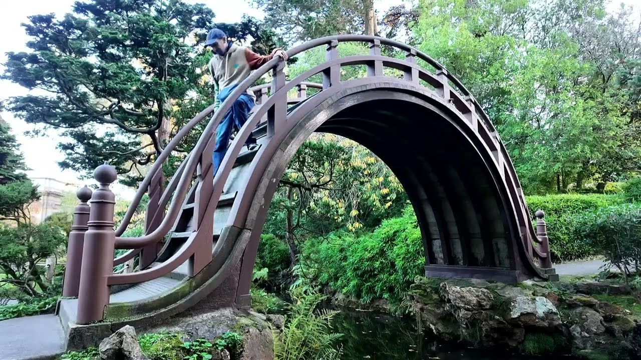 🌲 An Evening Walk in Golden Gate Park 🌳 🐉 Nov 18, 2025