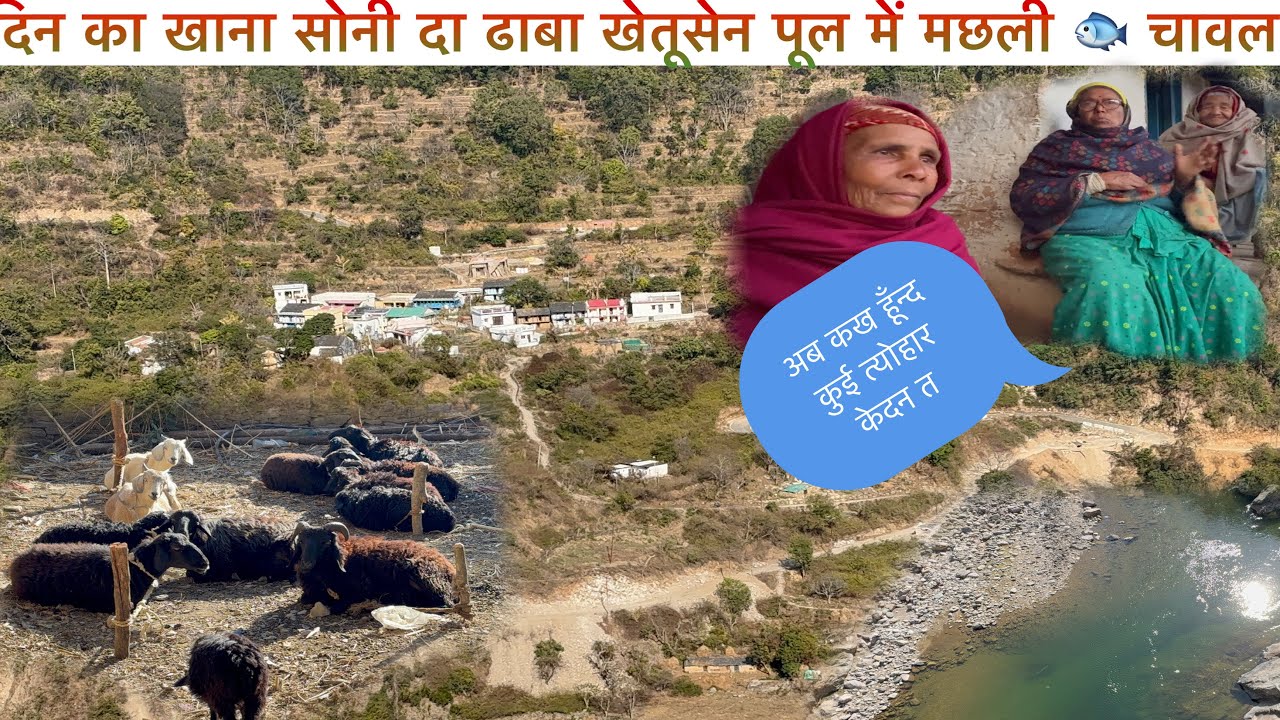||दिन का खाना सोनी दा ढाबा पुल में मछ्ली और चावल|| एक ओर कहानी ताई की जुबानी❤️🙏🏻🎊🚩||
