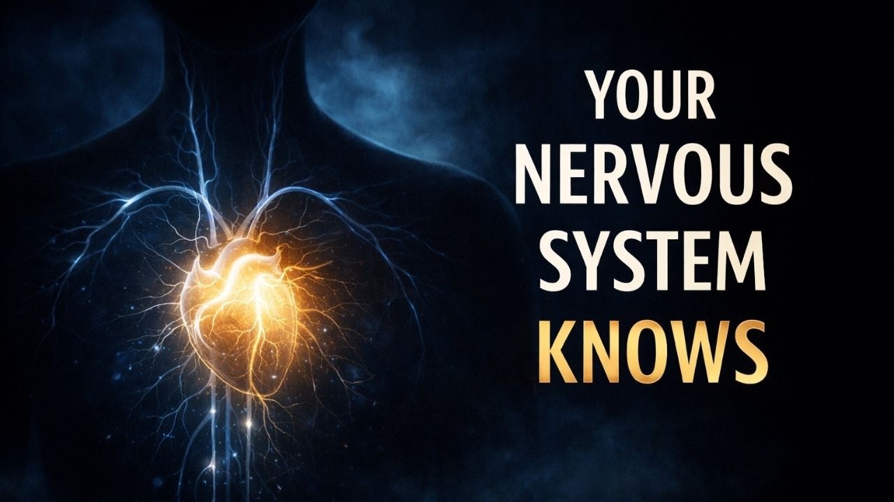 Your Body Is Waiting for a Signal That It's Safe