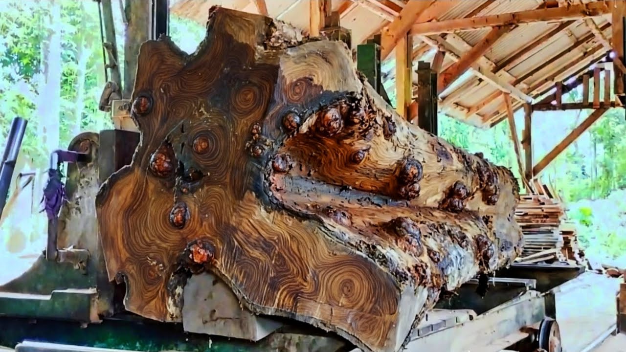 The process of extracting the beautiful fibers of teak wood is hundreds of years old