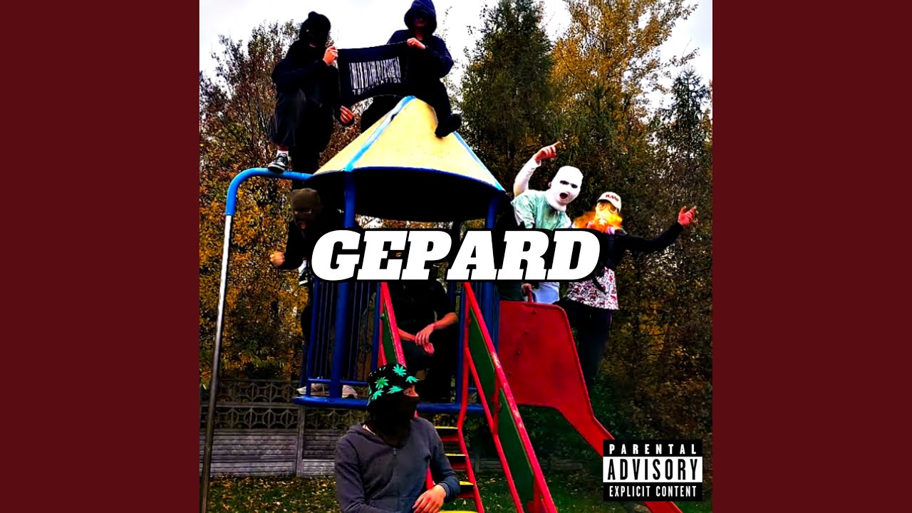 Gepard
