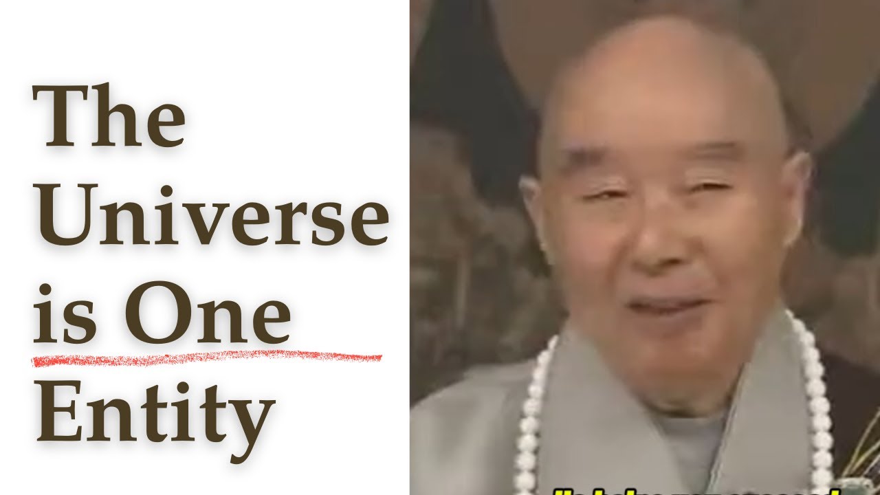 The Universe is One Entity: Master Chin Kung's Profound Teaching on Amitabha Buddha