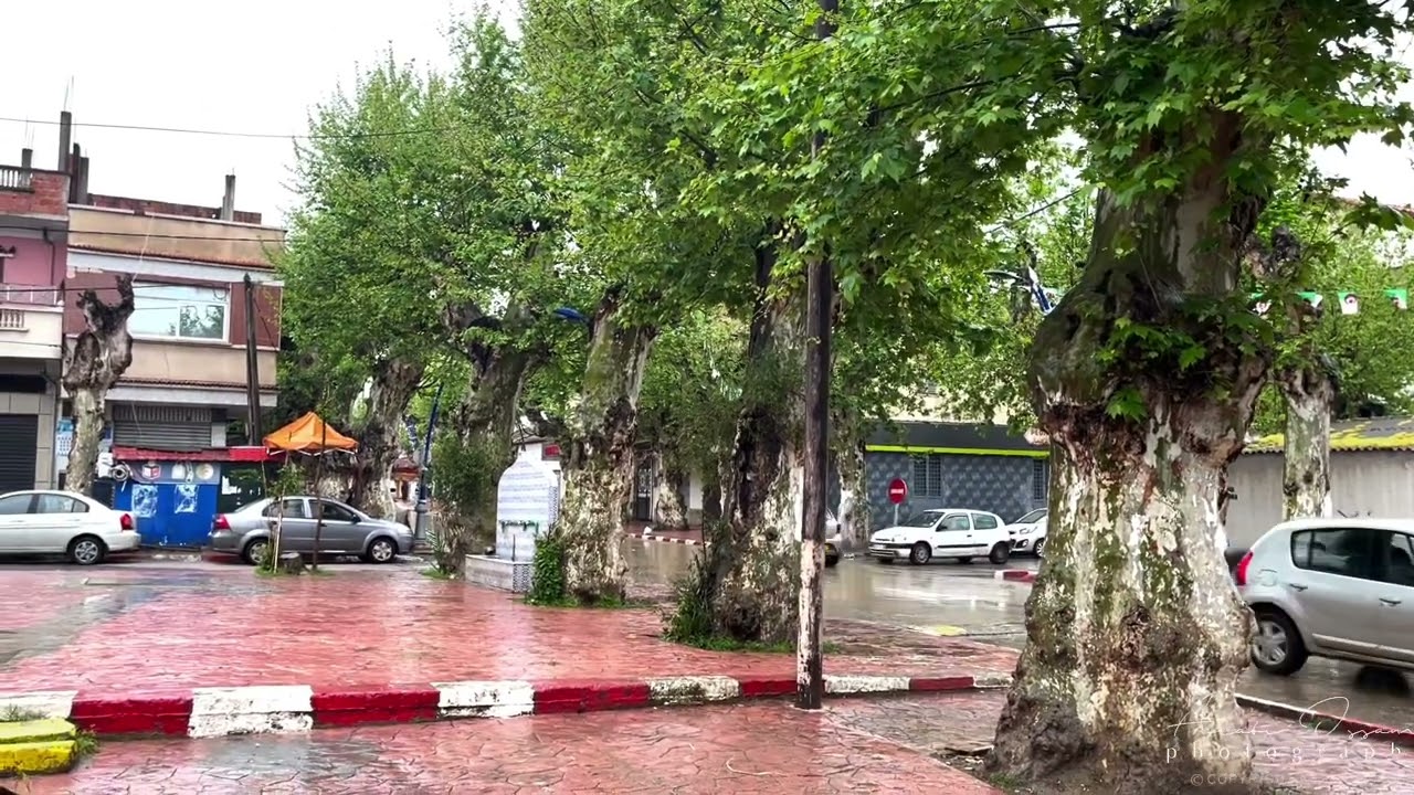 وادي العلايق وقت الشتاء street walking oued el alleug blida