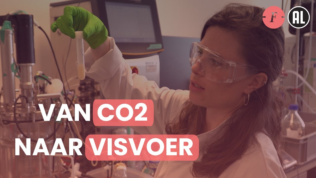 Eiwit uit het lab: zo wordt vis echt duurzaam